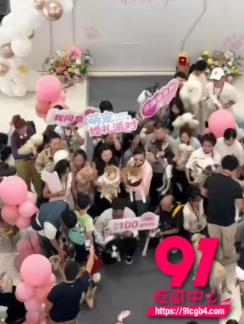太原狗狗婚礼 2 太原狗狗婚礼 2